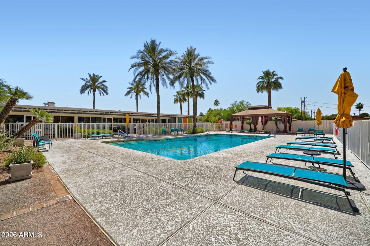 Heated resident pool ringed by palm trees